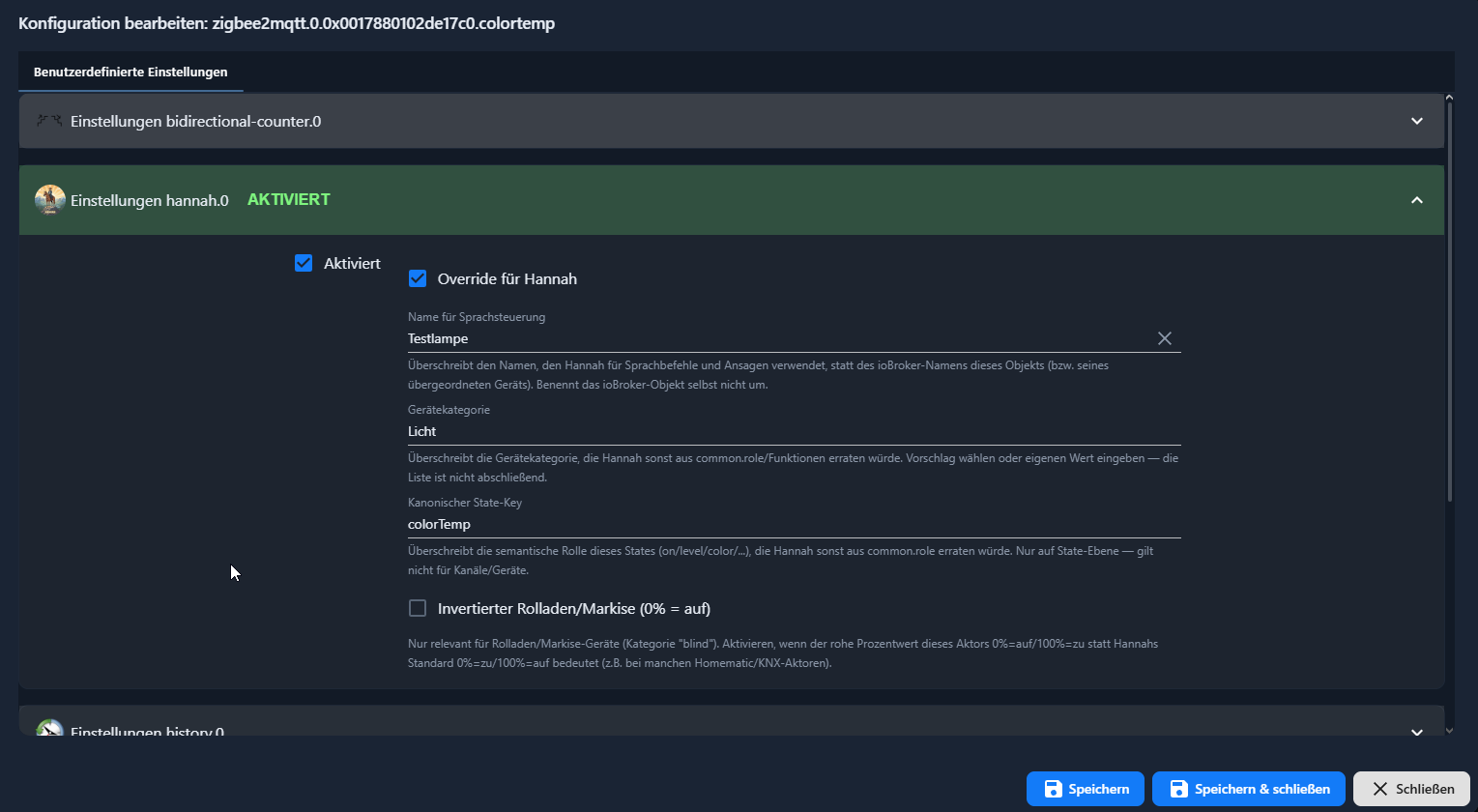 Hannah-Override-Tab an einem ioBroker-State mit Name, Gerätekategorie und canonicalKey